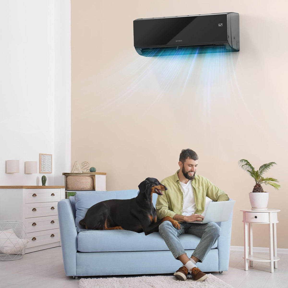 ROVSUN 9000 BTU 20 SEER2 115V Mini Split Air Conditioner Heat Pump with 16ft Installation Kit Black